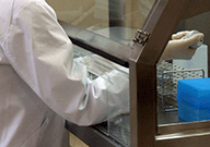 検査成績書を作成